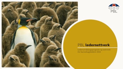 PBL Ledernettverk 2026