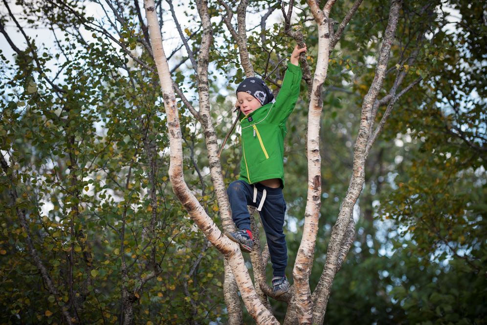 Barn som klatrer i et tre